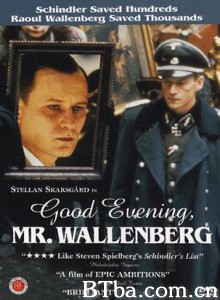 晚安，沃伦伯格先生 晚上好，瓦伦贝格先生 Good Evening  Mr. Wallenberg (1990)  BT磁力 迅雷网盘下载