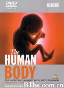 人体漫游 人体世界 Intimate Universe: The Human Body (1998)  BT磁力 迅雷网盘下载