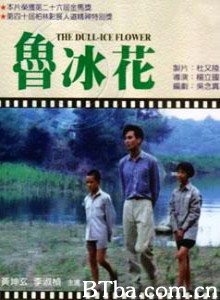 鲁冰花 Dull Ice Flower (1989)  BT磁力 迅雷网盘下载