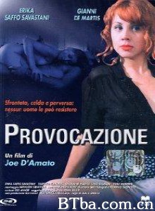 双妻艳史 Provocazione 挑衅 (1996)  BT磁力 迅雷网盘下载