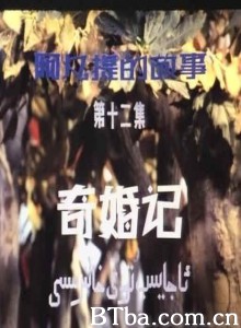 阿凡提的故事之奇婚记 第十二集：奇婚记 (1970)  BT磁力 迅雷网盘下载