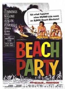 海滩聚会 (1964)  BT磁力 迅雷网盘下载