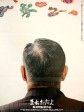 袅袅夕阳情/一代鲜师/未休矣