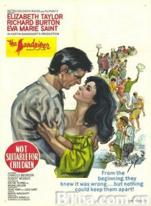 春风无限恨 青鸟 潇湘六梦 (1965)  BT磁力 迅雷网盘下载