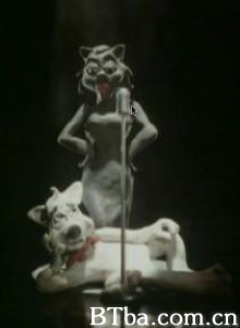 我的宝贝只在乎我 (1996)  BT磁力 迅雷网盘下载