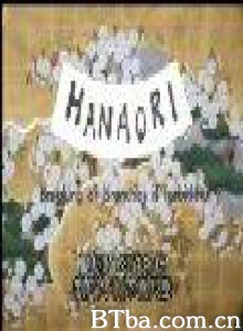 摘花 Hanaori: Breaking of Branches Is Forbidden Hanaori (1970)  BT磁力 迅雷网盘下载