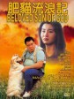 肥猫流浪记/The Beloved Son of God/Why Me? II