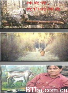 神鹿啊 我们的神鹿 Fading Reindeer Bell (1970)  BT磁力 迅雷网盘下载