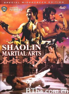 洪拳与咏春 Shaolin Martial Arts (1974) 1080P BT磁力 迅雷网盘下载