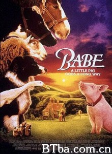 小猪宝贝 我不笨，所以我有话要说 小猪贝贝 (1995)  BT磁力 迅雷网盘下载