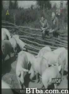 农人日记/Peasant Diaries-720p|1080p高清bt种子下载