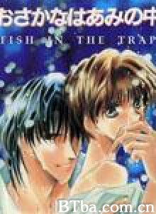 网中鱼 Fish in the trap (1994)  BT磁力 迅雷网盘下载