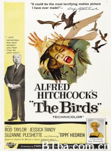群鸟 鸟 Alfred Hitchcock's The Birds (1963) 1080P/4K BT磁力 迅雷网盘下载