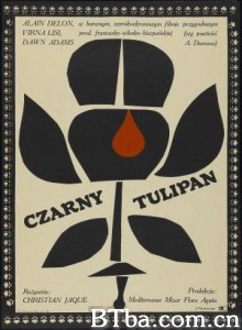 黑郁金香 龙虎风云 The Black Tulip (1964)  BT磁力 迅雷网盘下载