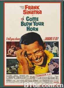 ComeBlowYourHorn (1970)  BT磁力 迅雷网盘下载