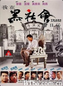 我在黑社会的日子 义不容辞 Triads - The Inside Story (1989) 1080P/720P BT磁力 迅雷网盘下载