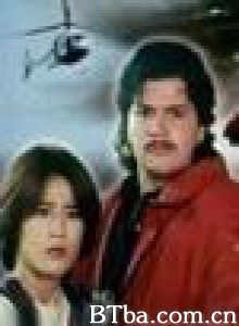 过江龙 龙虎之战 (1970)  BT磁力 迅雷网盘下载