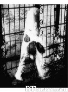 威尼斯和她的情人们 (1970)  BT磁力 迅雷网盘下载