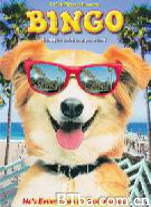 灵犬宾果 神犬走天涯 宾果历险记 (1991)  BT磁力 迅雷网盘下载
