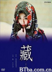 藏 (1970)  BT磁力 迅雷网盘下载