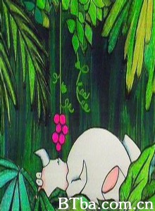 珍稀兽 (1970)  BT磁力 迅雷网盘下载