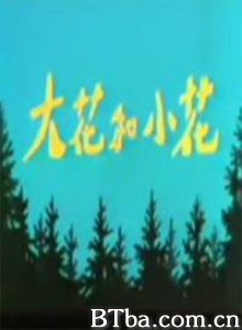 大花和小花