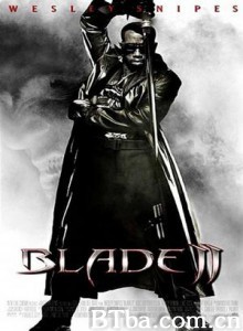 刀锋战士2 幽灵刺客2变种复活 刀锋2 (2002) 1080P/720P BT磁力 迅雷网盘下载
