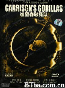 加里森敢死队 (1980)  BT磁力 迅雷网盘下载