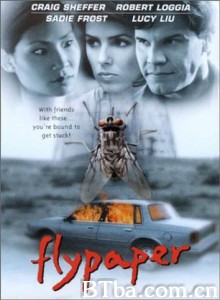 捕蝇 苍蝇陷阱 Flypaper (1999)  BT磁力 迅雷网盘下载