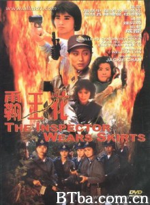 霸王花 霸王花与霸王花 Lady Enforcers (1988) 1080P BT磁力 迅雷网盘下载