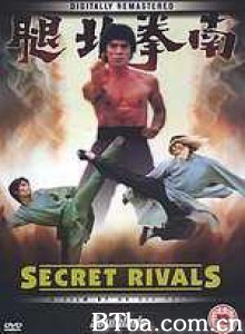 南拳北腿 Secret Rivals Silver Fox Rivals (1976)  BT磁力 迅雷网盘下载