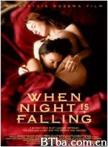 夜幕低垂 (1995)  BT磁力 迅雷网盘下载
