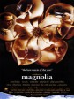 木兰花/人生交叉剔/心灵角落/Magnolia