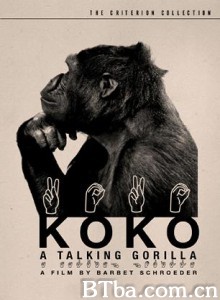 科科：会说话的大猩猩 Koko  a Talking Gorilla (1978)  BT磁力 迅雷网盘下载