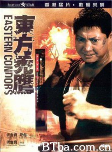 东方秃鹰 Eastern Condors (1987) 1080P/720P BT磁力 迅雷网盘下载
