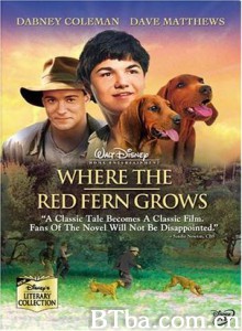 红色羊齿草的故乡 (2003)  BT磁力 迅雷网盘下载