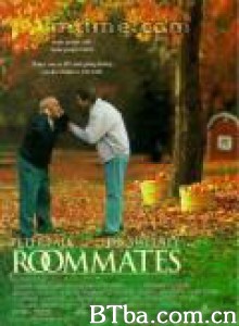 同居大作战 同住一屋 室友 (1995)  BT磁力 迅雷网盘下载