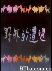 野外的遭遇-720p|1080p高清bt种子下载