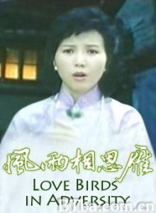 风雨相思雁 (1970)  BT磁力 迅雷网盘下载