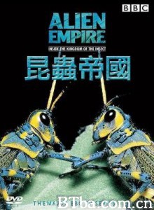 昆虫帝国 (1970)  BT磁力 迅雷网盘下载
