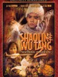 木棉袈裟/Holy Robe of the Shaolin Temple