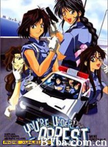 逮捕令OVA You're Under Arrest Taiho shichauzo (1994)  BT磁力 迅雷网盘下载