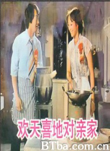欢天喜地对亲家-720p|1080p高清bt种子下载