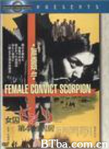第41号女囚房 Jailhouse 41: Female Convict Scorpion (1972)  BT磁力 迅雷网盘下载
