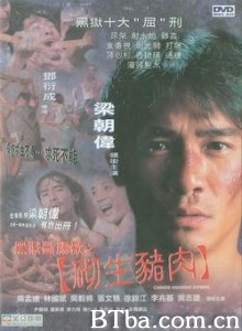 黑狱断肠歌之砌生猪肉 Chinese Midnight Express (1997) 1080P BT磁力 迅雷网盘下载