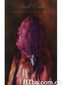 SmallDeaths (2000)  BT磁力 迅雷网盘下载