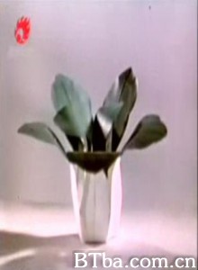 一棵大白菜 (1970)  BT磁力 迅雷网盘下载