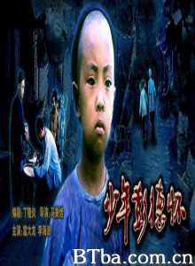 少年彭德怀 (1970)  BT磁力 迅雷网盘下载