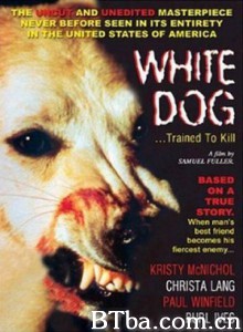 白狗 魔犬(台) White Dog (1982) 1080P/720P BT磁力 迅雷网盘下载