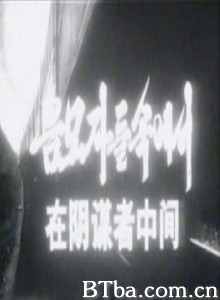 在阴谋者中间 In the Plotter (1970)  BT磁力 迅雷网盘下载